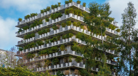 László Noémi: Kelj fel és járj [Képalá]