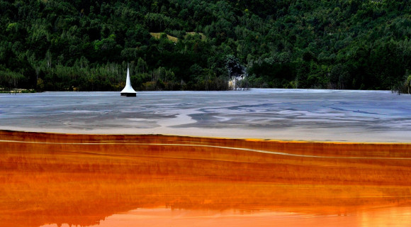 Lackfi János: Szuszogok [Képalá]