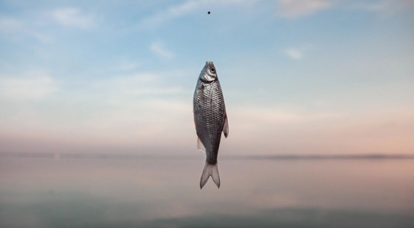 Terék Anna: Fekete nap [Képalá]