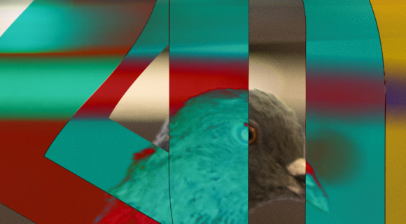 Közép-európai paradicsom