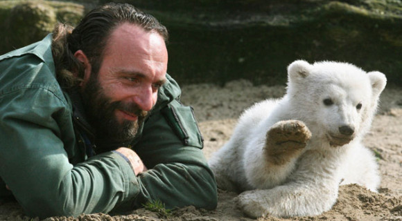 A medvék szemében az ember csak egy kizsákmányoló, oktondi lény