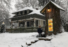 Hangulatos közösségi könyvtár lett egy 110 éves fa odvából