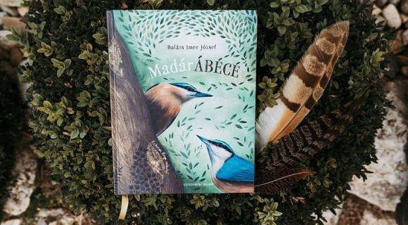 Süvöltő és gólyatöcs – Gyönyörű, játékos verseskötet vezet be a madarak világába