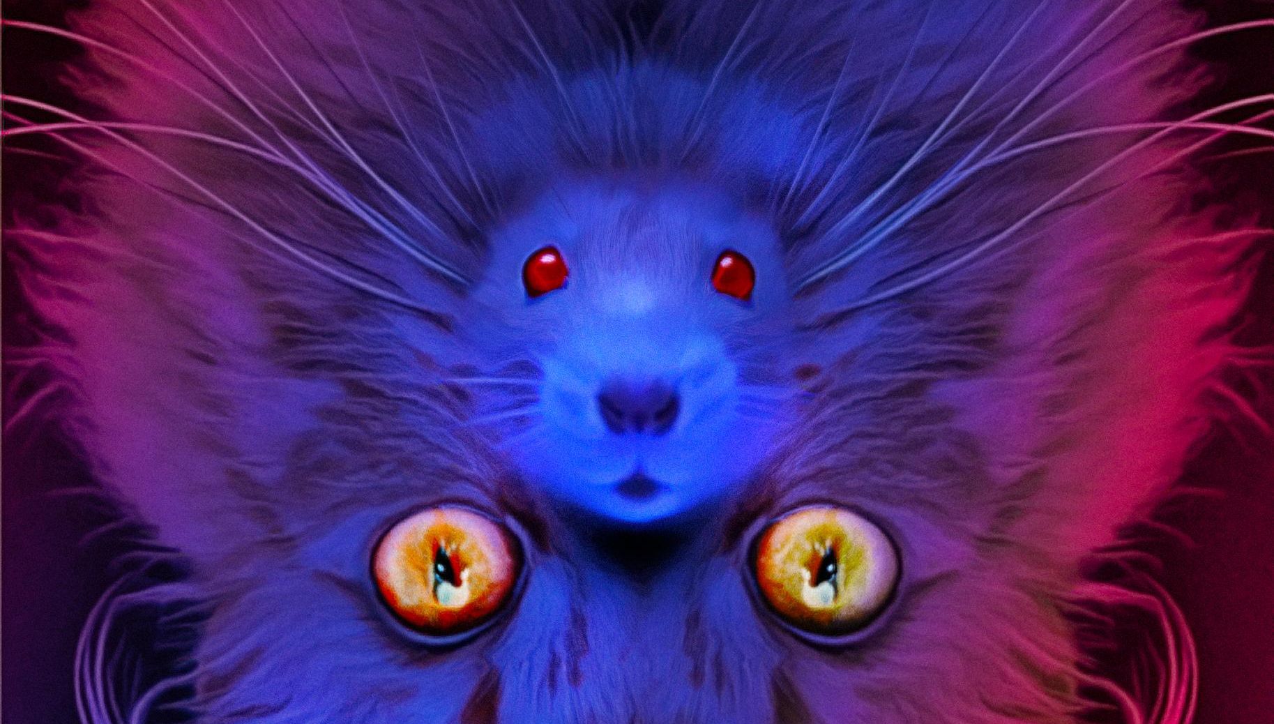 Stephen King megmutatja, hogy a szakadozó internet jobban érdekel minket, mint a széthulló világ