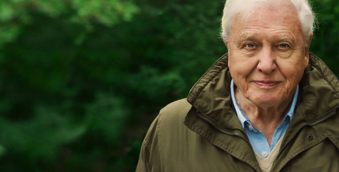 15 elképesztő tény Sir David Attenborough életéről