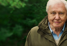 Attenborough szerint most kell cselekednünk, különben nem lesz visszaút a bolygó számára