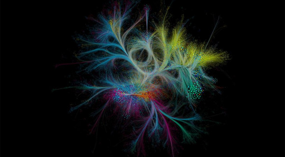 Finy Petra: Majd kivirágzol [HÁLÓZATOK HETE]