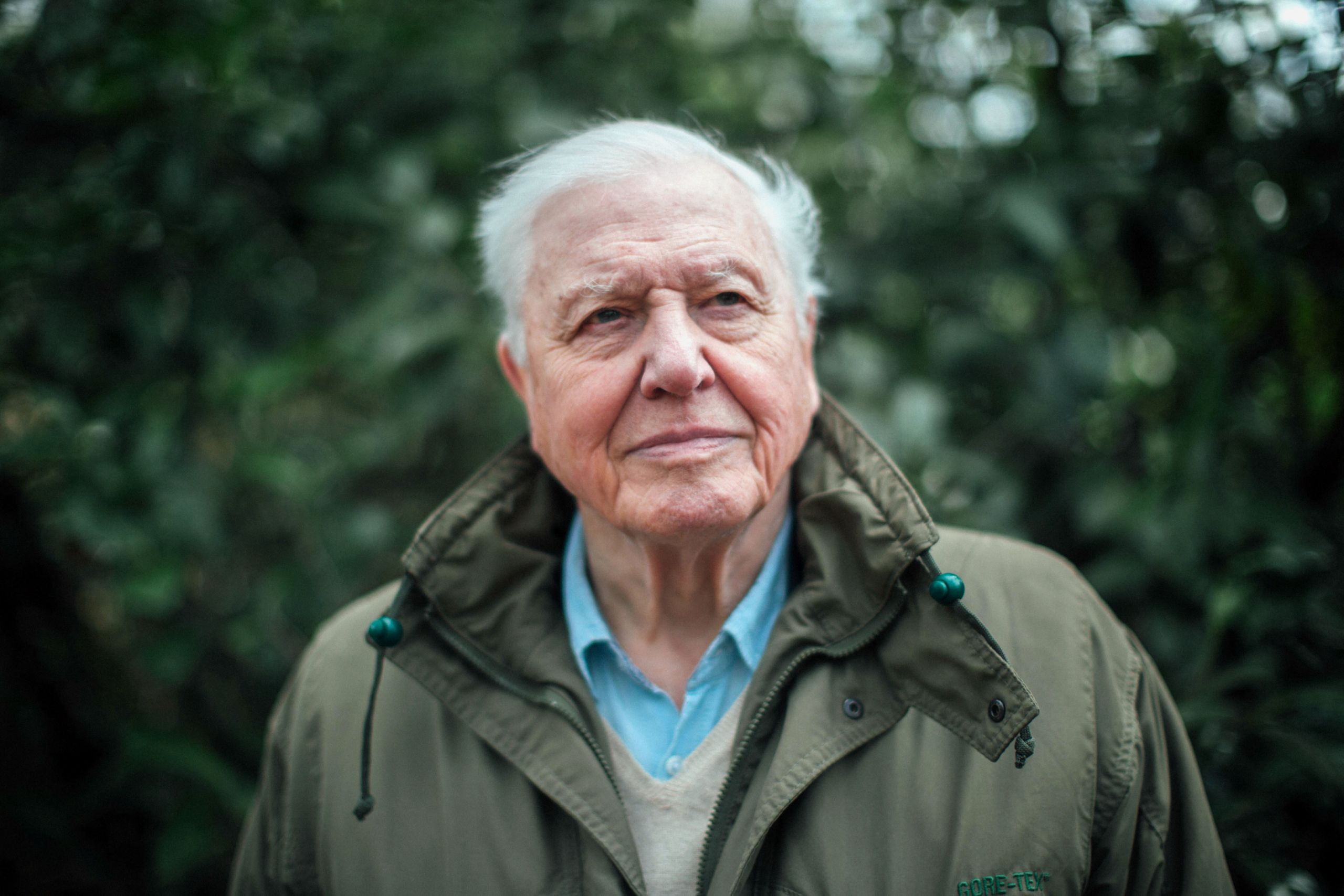 David Attenborough: Szép lassan egyre inkább elfordultam a húsevéstől