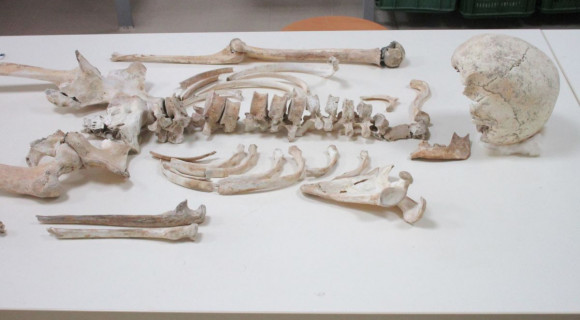 Először térképezték fel a pompeji vulkánkitörés egy áldozatának teljes génkészletét