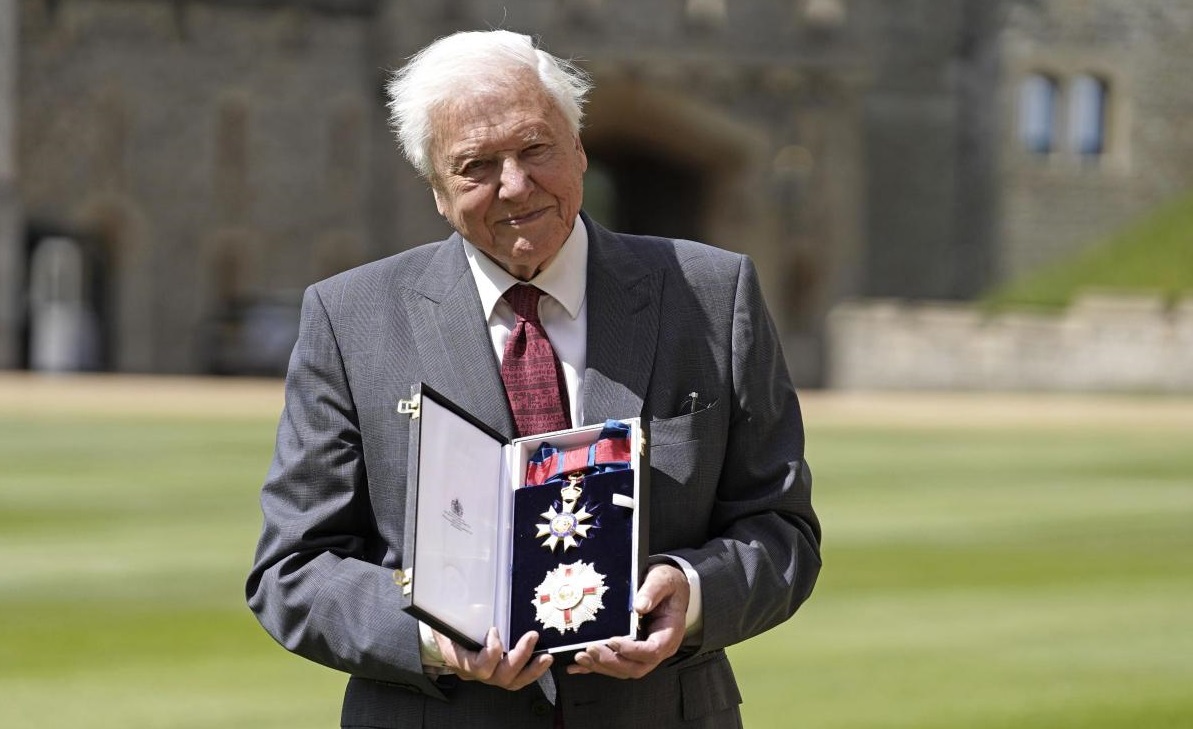 Királyi kitüntetést kapott David Attenborough Károly hercegtől