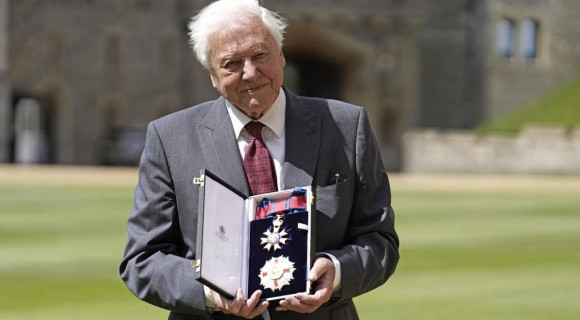 Királyi kitüntetést kapott David Attenborough Károly hercegtől