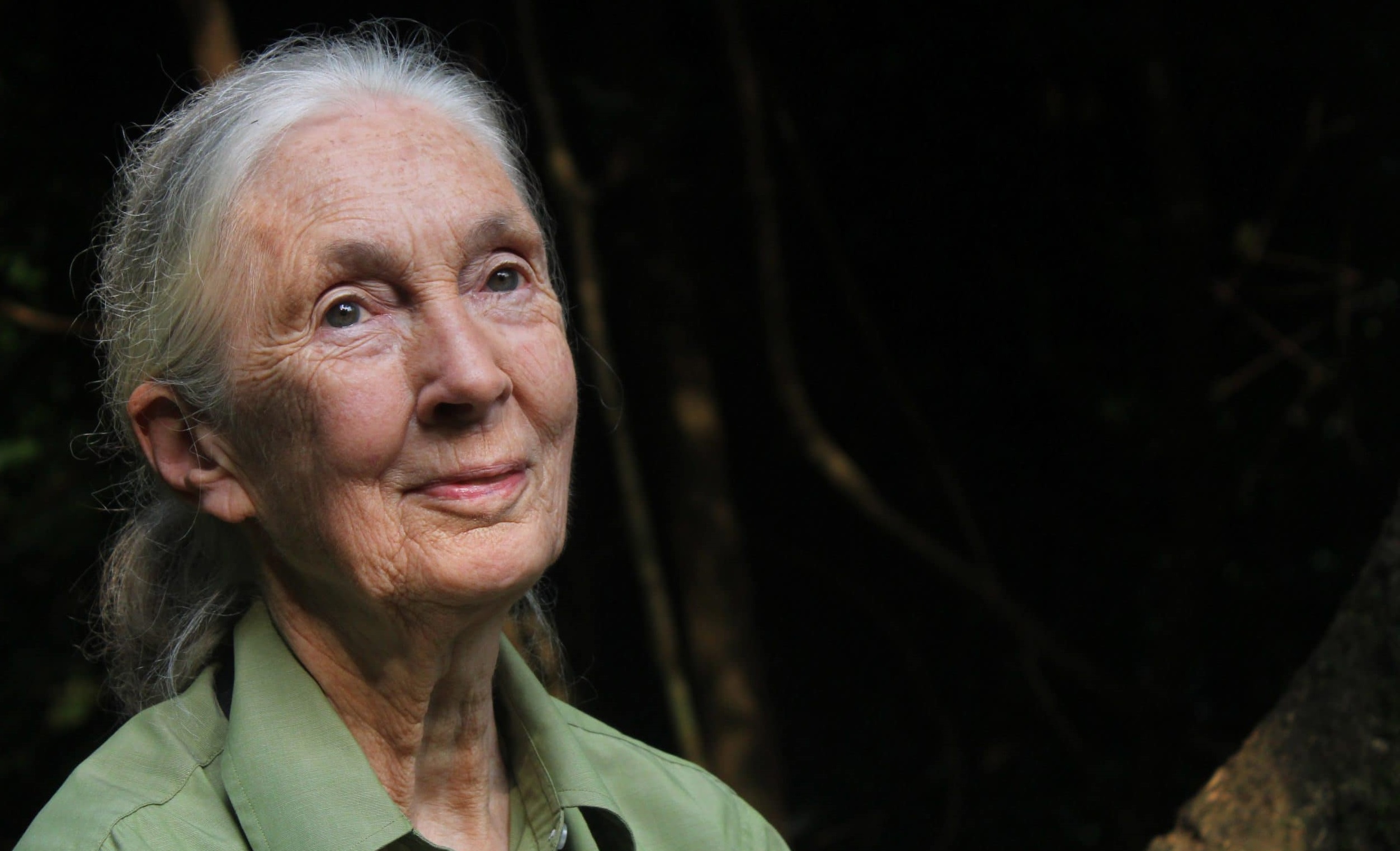 A Budapestre látogató Jane Goodall üzent a magyaroknak
