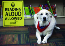 Ha gondok akadnak az olvasással, sokat segíthet - egy kutya
