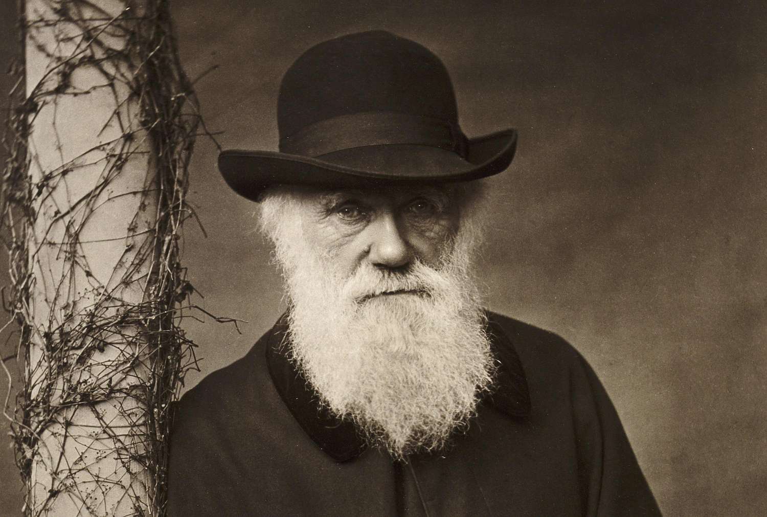 Felkérték Darwint egy önéletrajzi cikkre, ő meg elmagyarázta benne az evolúciós elméletét