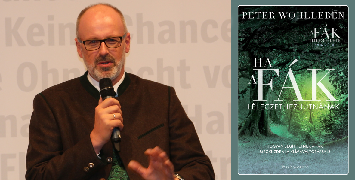 Peter Wohlleben elmagyarázza, hogyan erősödik meg az erdő, ha békén hagyjuk