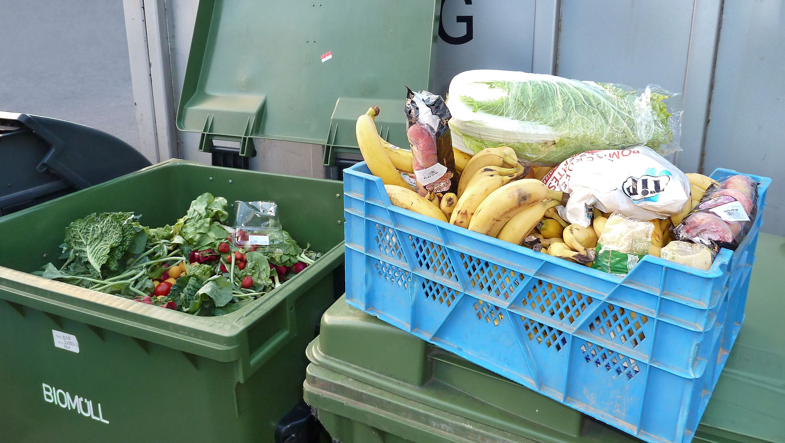 Kisebb hűtővel és szépséghibás zöldségek vásárlásával is csökkenthetjük a pazarlást