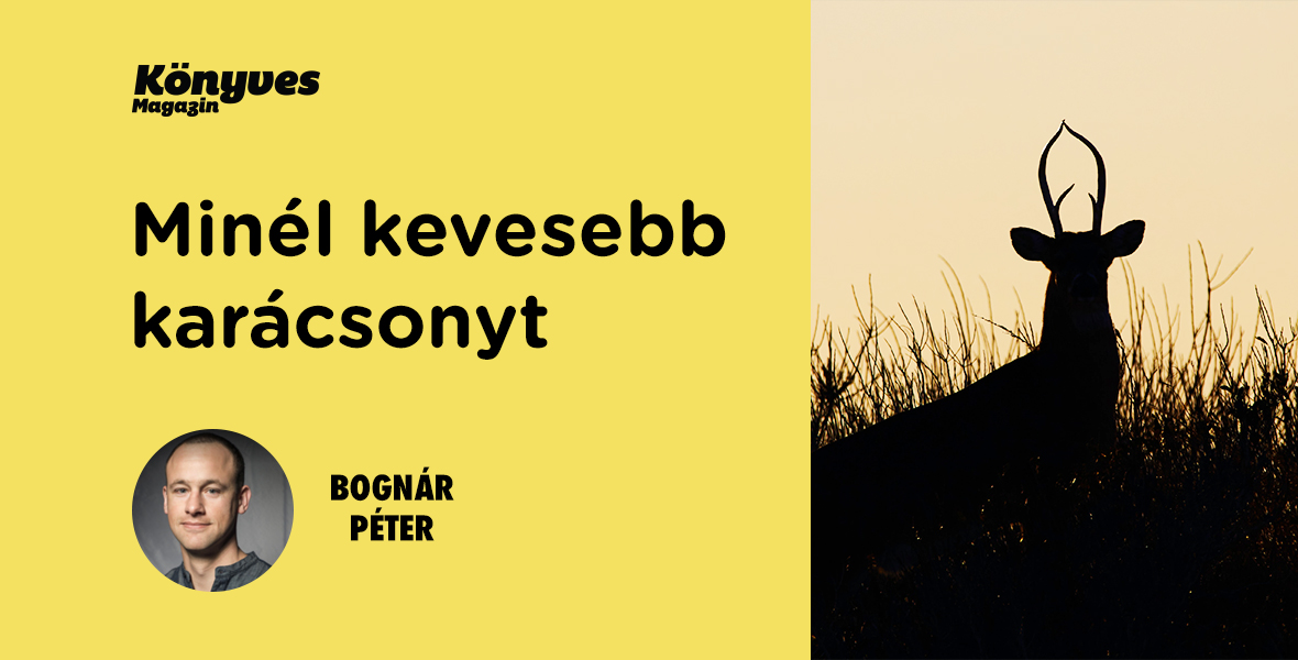 Bognár Péter: Az unokatestvérek bosszúja