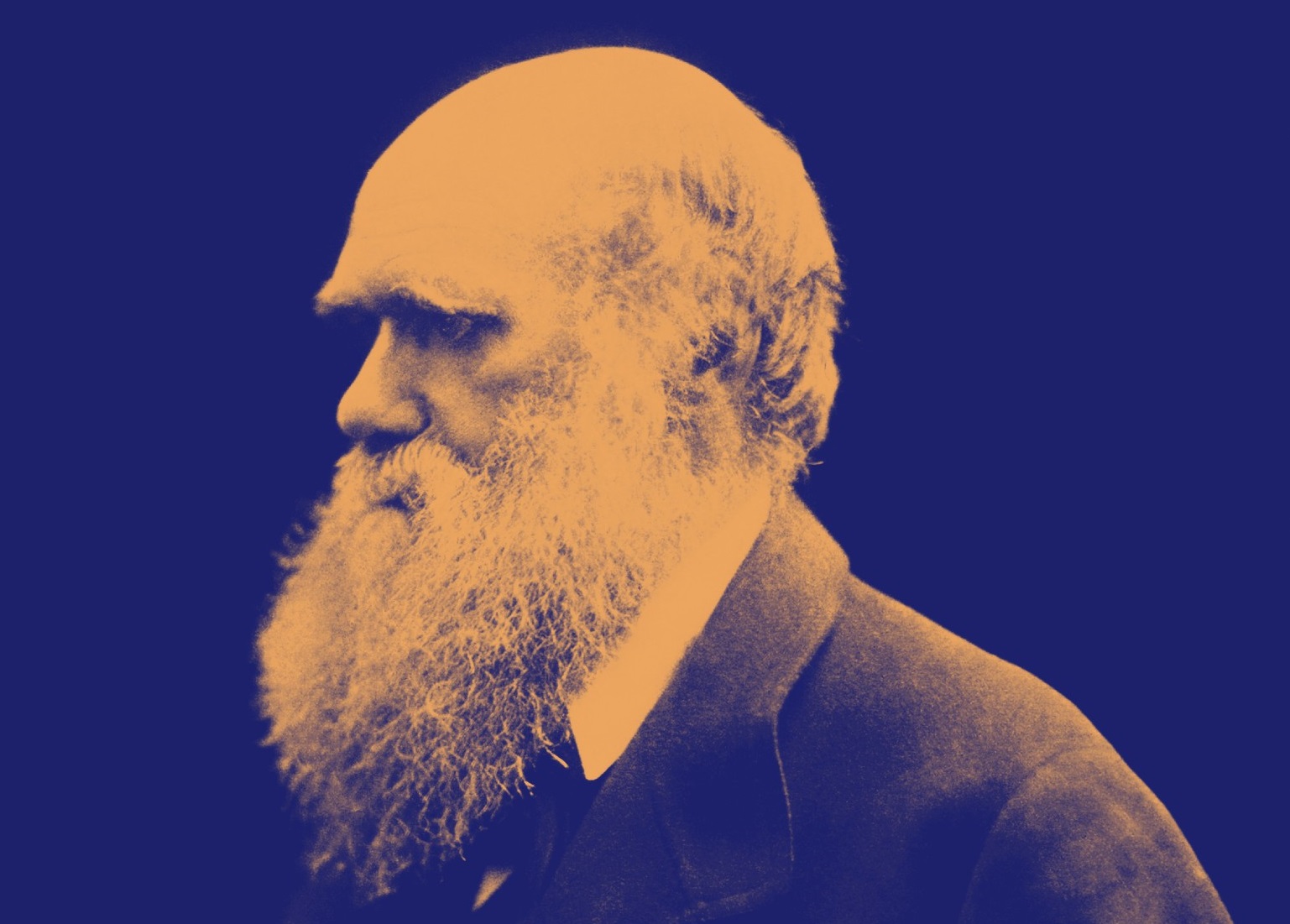 Darwin beteg gyomra is kellett, hogy a világ megismerhesse az evolúció elméletét