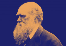 Darwin hatalmas könyvtára már online is elérhető