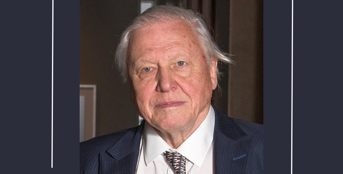4 regény és Sir David Attenborough: ezt ajánlja olvasni egy jövőkutató