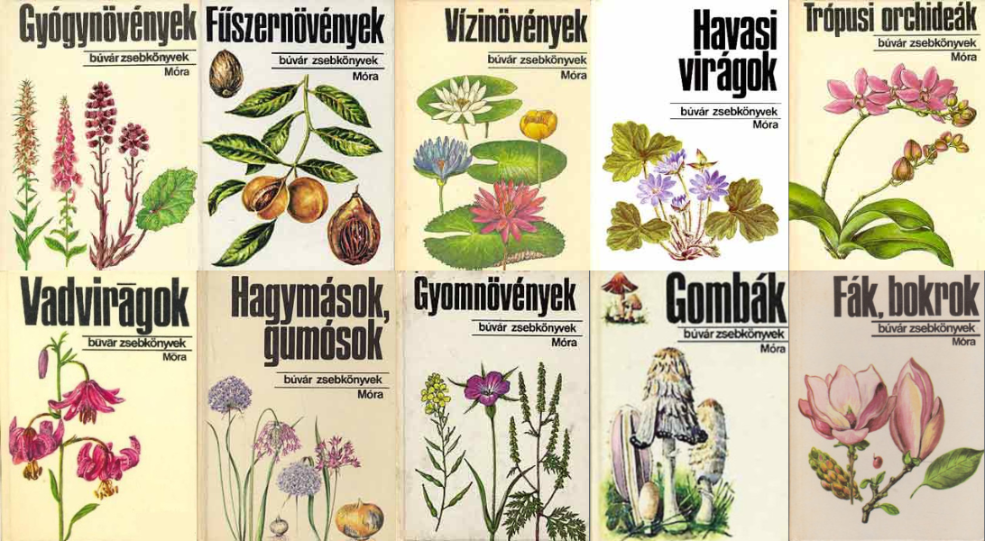 Emlékszel a Búvár Zsebkönyvekre? Emlékművet kapott a botanikusnő, aki illusztrálta
