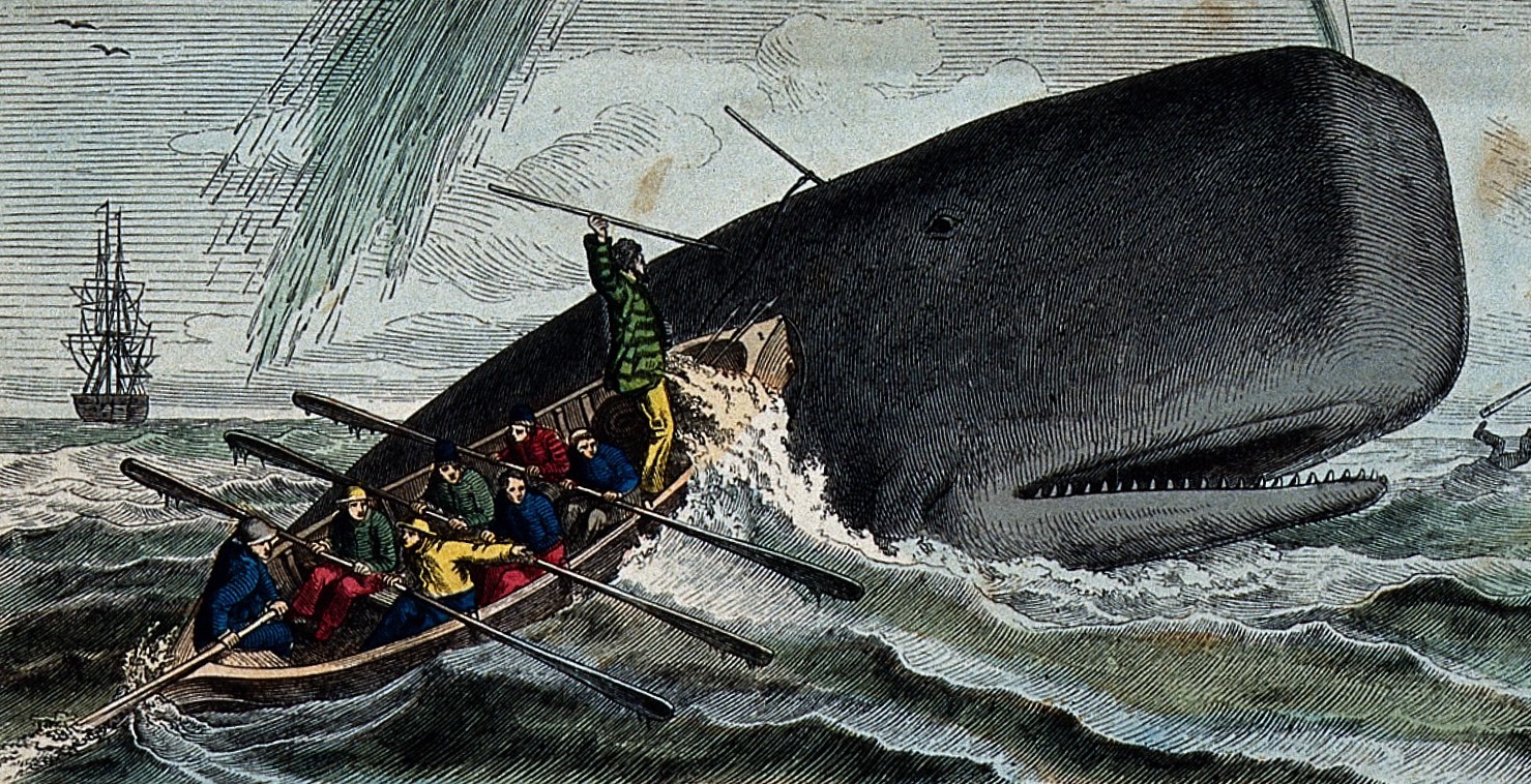Miért olvassák a klímakutatók a bálnavadászok 200 éves naplóit?