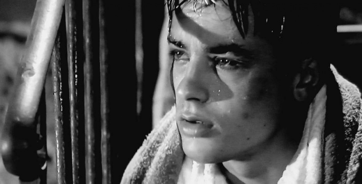 Meghalt Alain Delon - 3 életrajzi kötetet ajánlunk, egyet a színész is be akart tiltatni