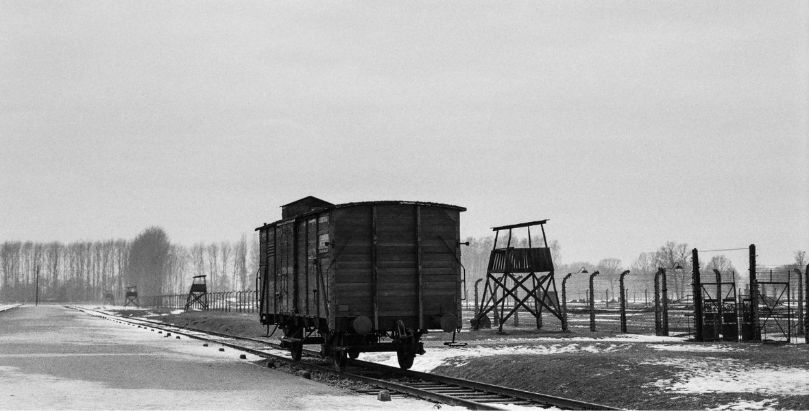 „A lágert kimeríteni nem kevésbé bolond igény, mint kikanalazni a tengert” – 5 könyv Auschwitz felszabadításának 80. évfordulójára