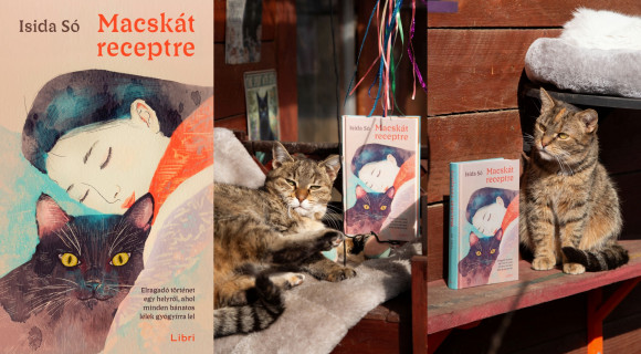 „A legtöbb gondra gyógyír a macska” – A könyv, ami után haza akarsz vinni egy cicát