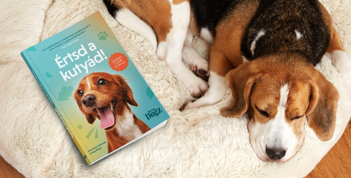 Boldog kutyát szeretnél? Húzd meg a határokat!