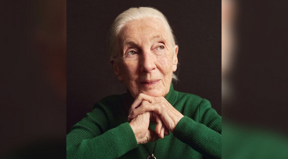 Jane Goodall, aki küldetésének tekintette, hogy reményt adjon
