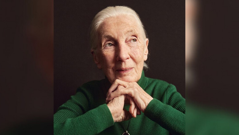 Jane Goodall, aki küldetésének tekintette, hogy reményt adjon