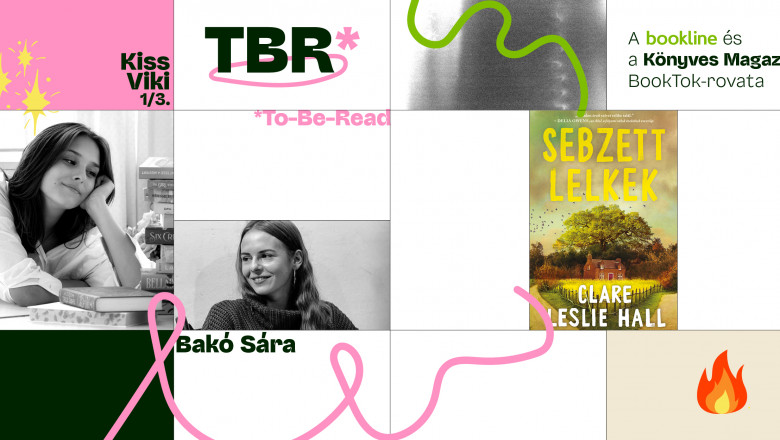Clare Leslie Hall bestsellere csavar egyet a romantikus regény műfaján