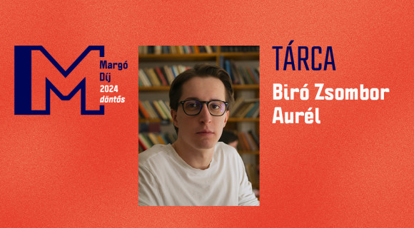 Biró Zsombor Aurél: Ácsorgok a Mexikóin a Burger King előtt...