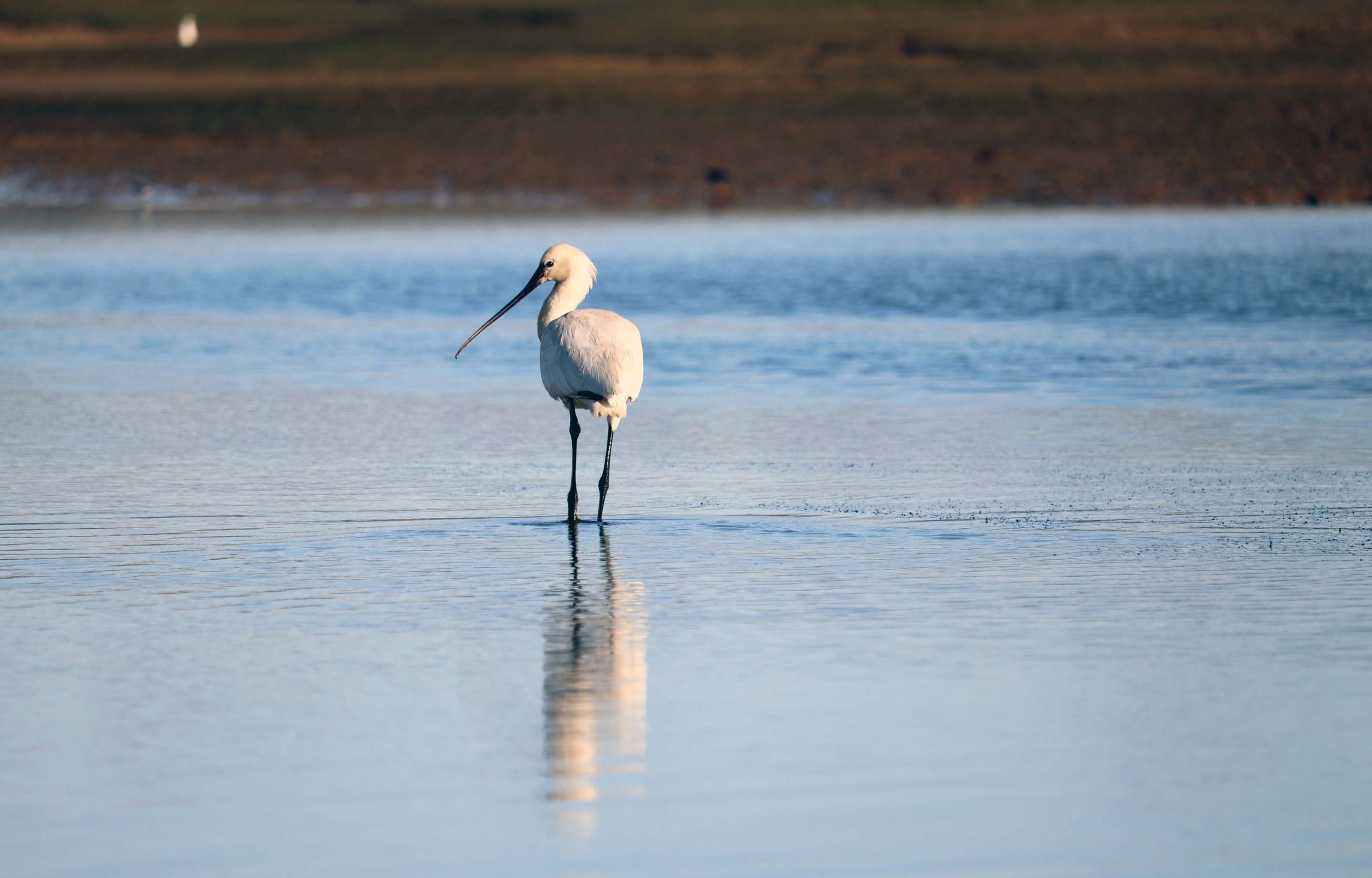 Ismerd meg a Duna szerepét a klímaváltozásban a Futurotechán!