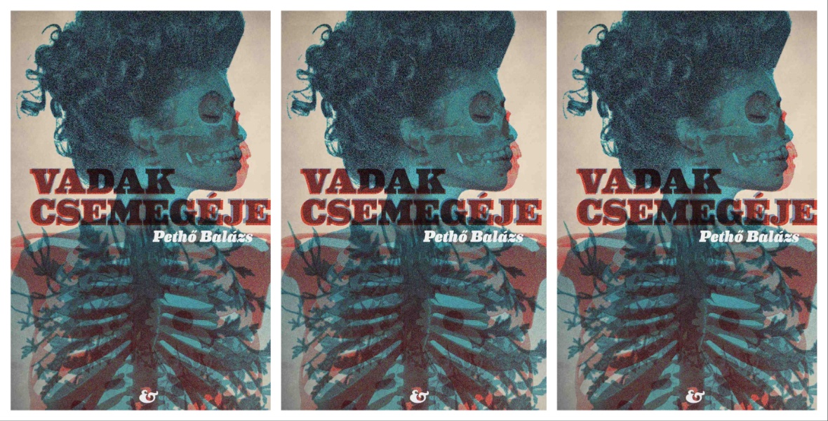 Budapestről Londonba a könyves szekerek kifosztásán át vezet az út – olvass bele Pethő Balázs új regényébe!