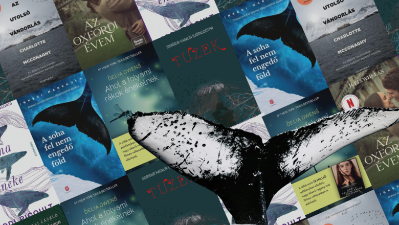 A tudomány vagy a szerelem fontosabb? Öt regényt ajánlunk Jodi Picoult első kötete mellé