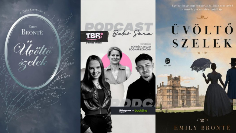 A Grincs, az értelmezhetetlen és a letisztult – 5 emlékezetes Üvöltő szelek-borító