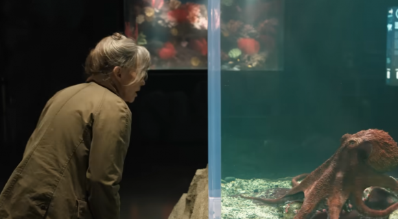 Megható előzetest kapott az ember-polip fura barátságáról szóló Netflix-adaptáció