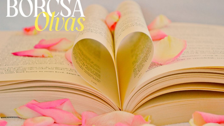 „Ha szó szerint fordítanék, mondatonként zihálna valaki” – az erotikus könyvek fordításának kulisszatitkai