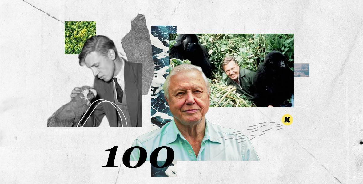 100 éves David Attenborough, aki a természetnek adta a főszerepet