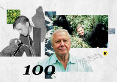 100 éves David Attenborough, aki a természetnek adta a főszerepet