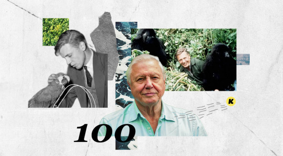 100 éves David Attenborough, aki a természetnek adta a főszerepet