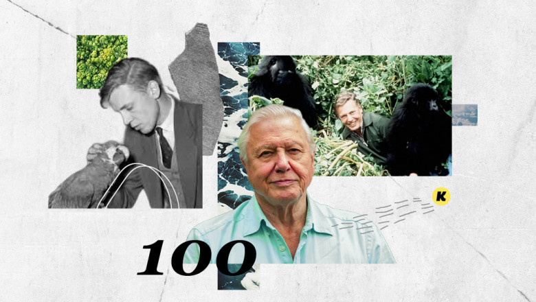 100 éves David Attenborough, aki a természetnek adta a főszerepet