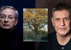 Károlyi Csaba: Nádas Pétert Thomas Mann-i magaslatokban emlegették
