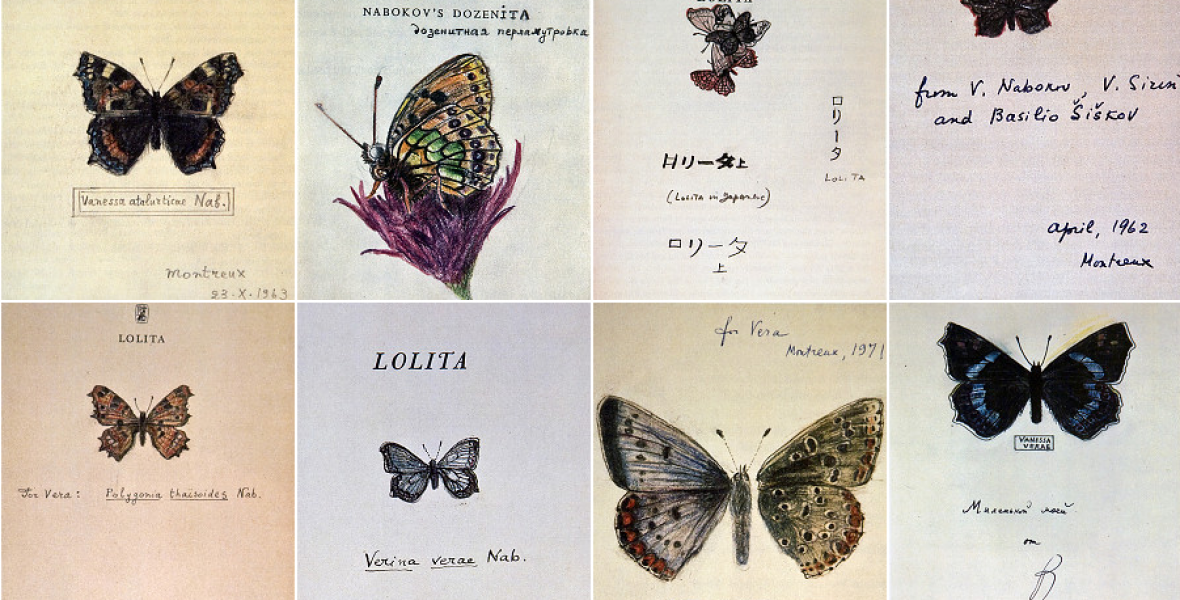 Szivardoboz rejtette Nabokov pillangóit