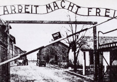 Négy könyv, amelyben túlélők meséltek Auschwitzról