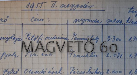 6 érdekesség a 60 éves Magvetőről
