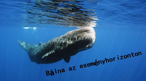 Bálna az eseményhorizonton - Zilahi Anna és Németh Róbert estje a Magvető Caféban