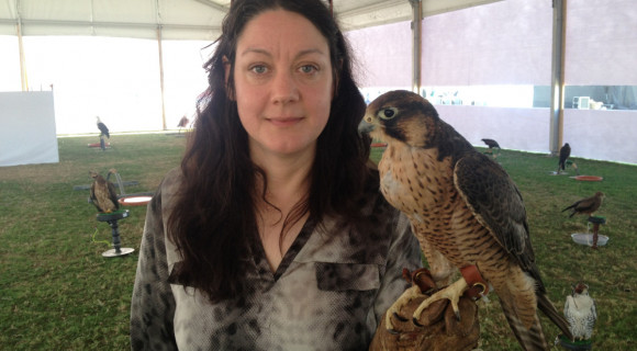 Helen Macdonald: Ahogy a héja szelídült, úgy lettem én egyre vadabb a természetben